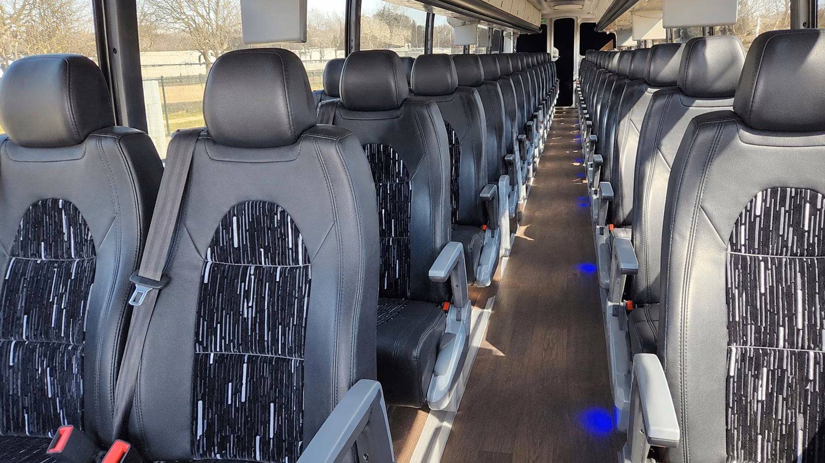 compare buses in minutes not days